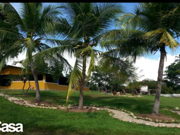 VENTA FINCA 263 HECT. EN VILLA NUEVA CASANARE