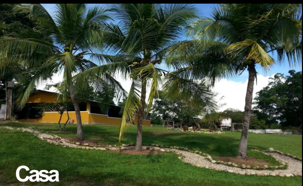 305071020190822042601-1 VENTA FINCA 263 HECT. EN VILLA NUEVA CASANARE