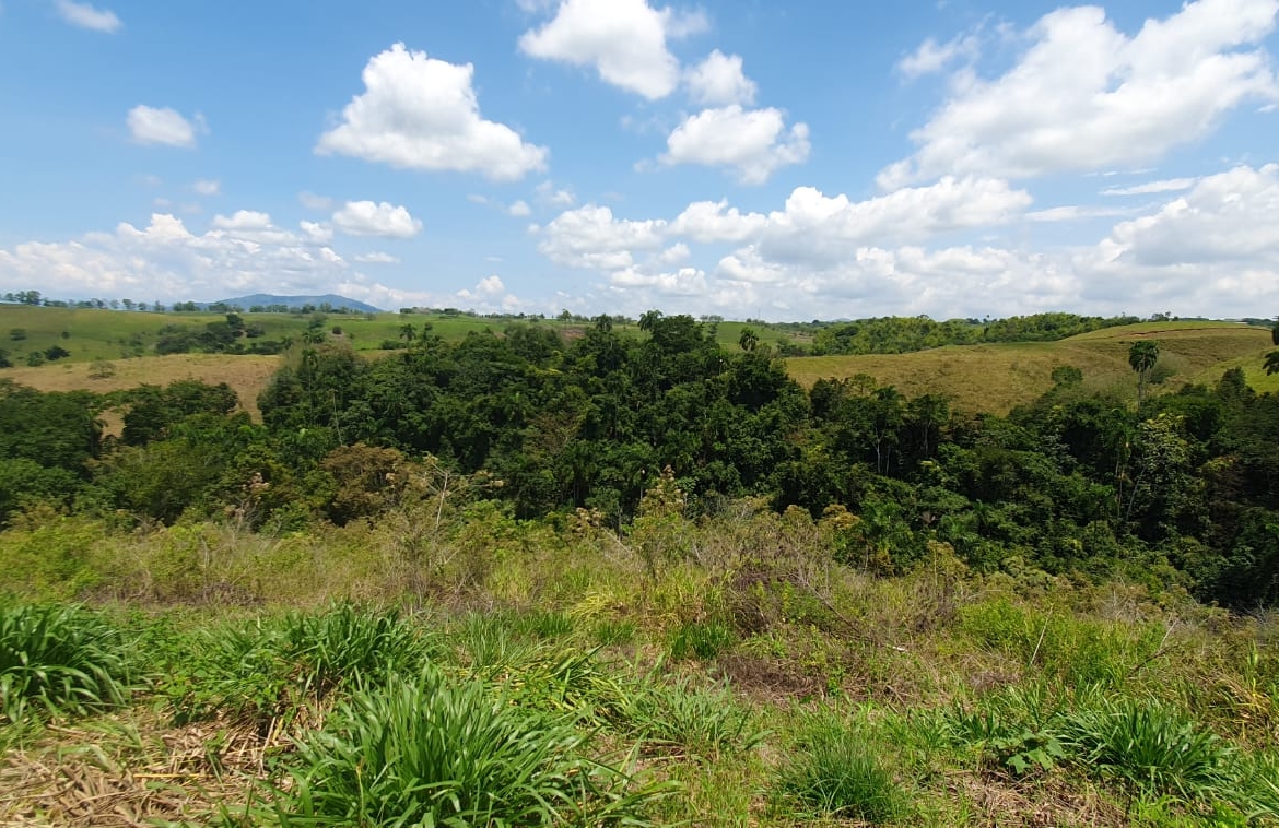 EN VENTA LOTE CERRITOS PEREIRA 11.027M2