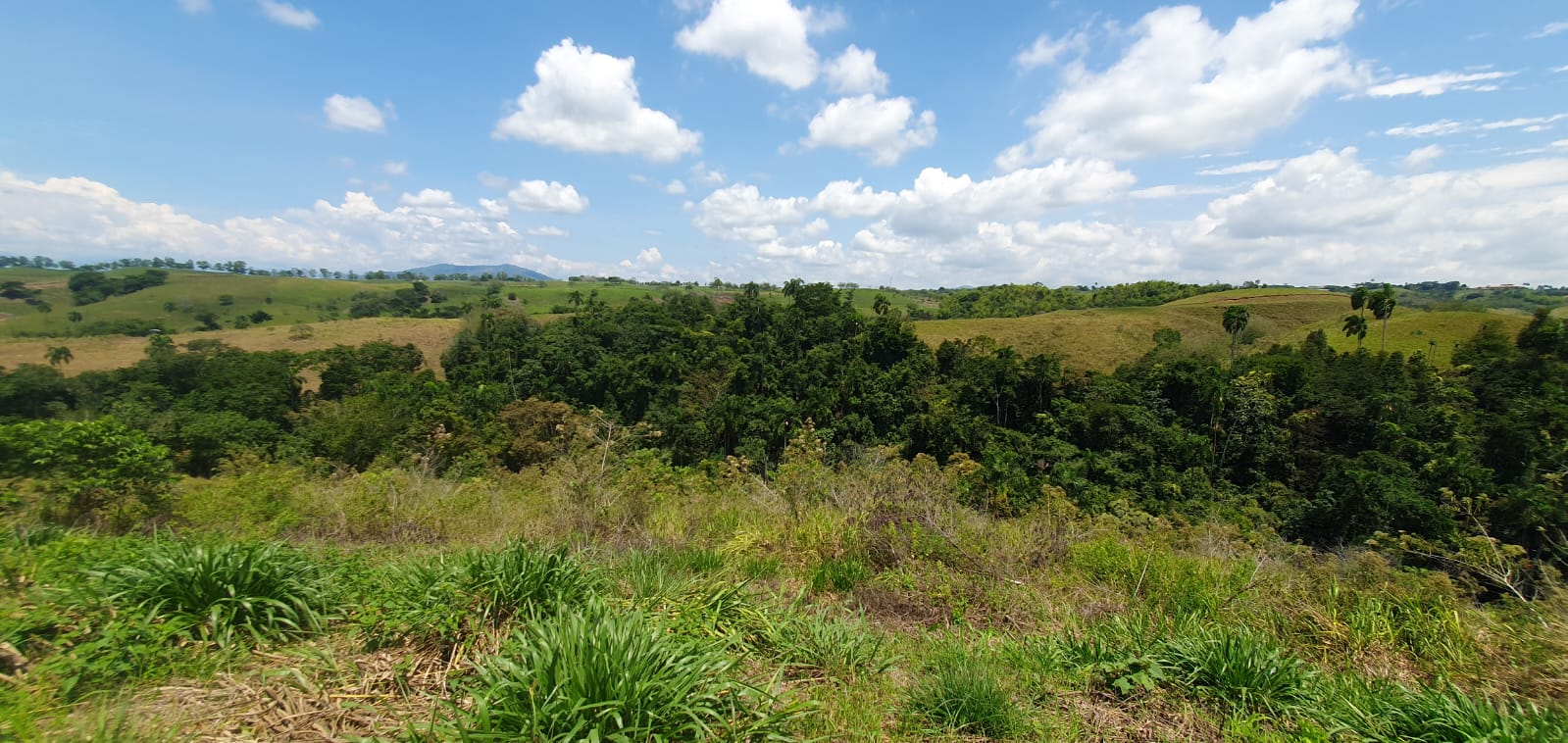 305071020250311061346 EN VENTA LOTE CERRITOS PEREIRA 11.027M2