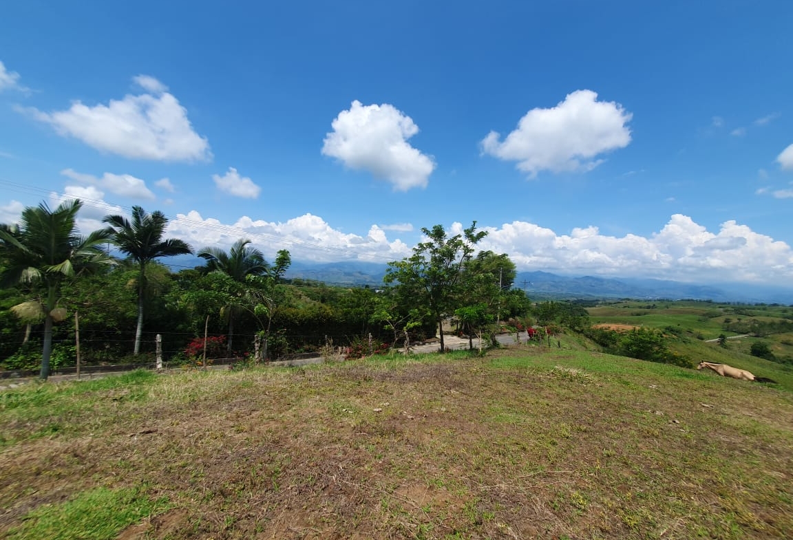 EN VENTA LOTE CERRITOS PEREIRA 13.000 M2