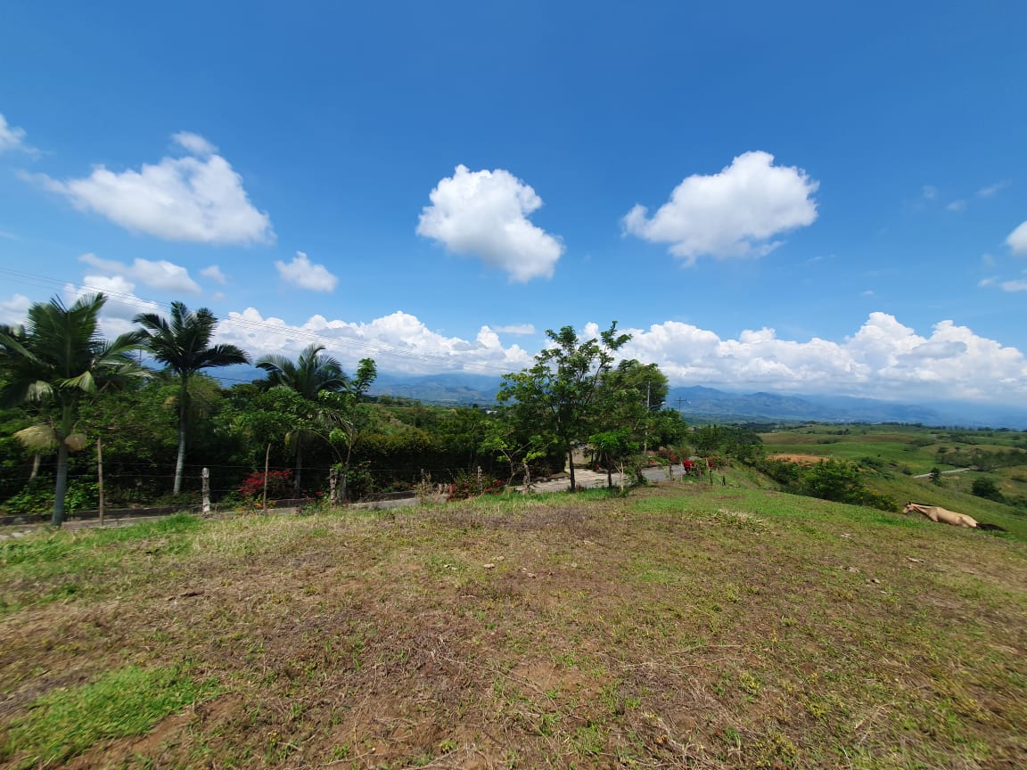 EN VENTA LOTE CERRITOS PEREIRA 13.000 M2
