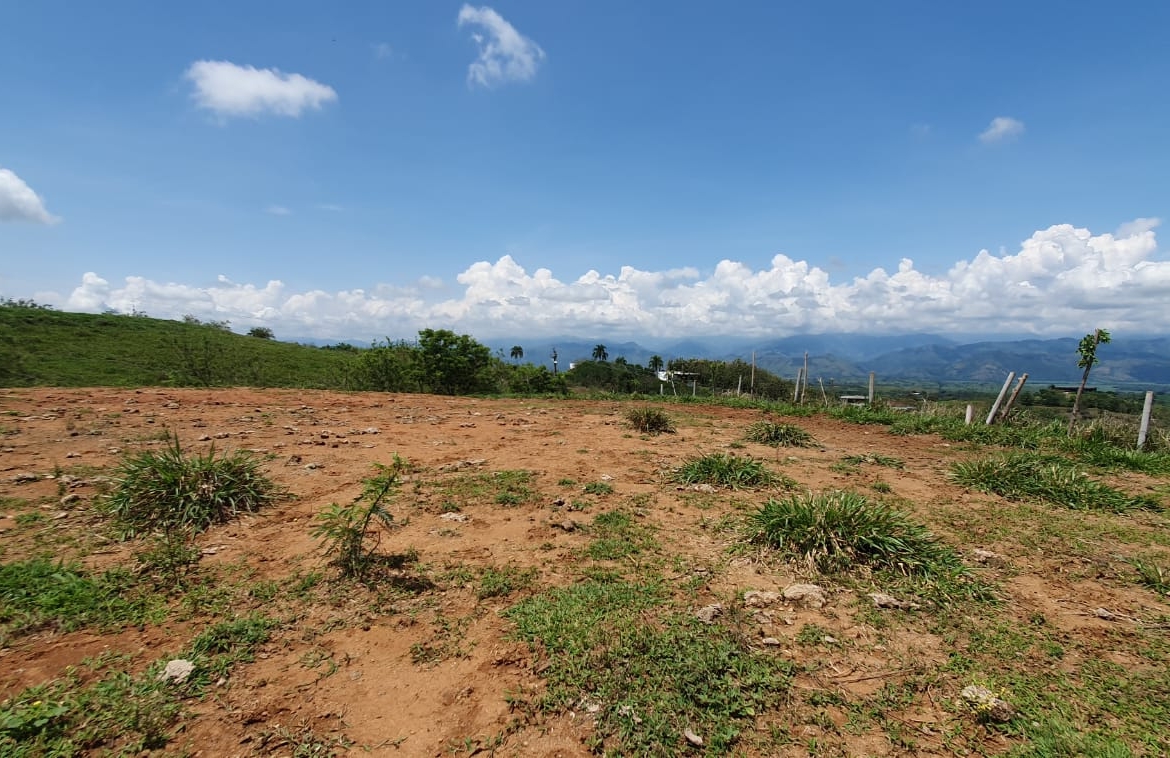 EN VENTA LOTE CERRITOS PEREIRA 13.500 M2