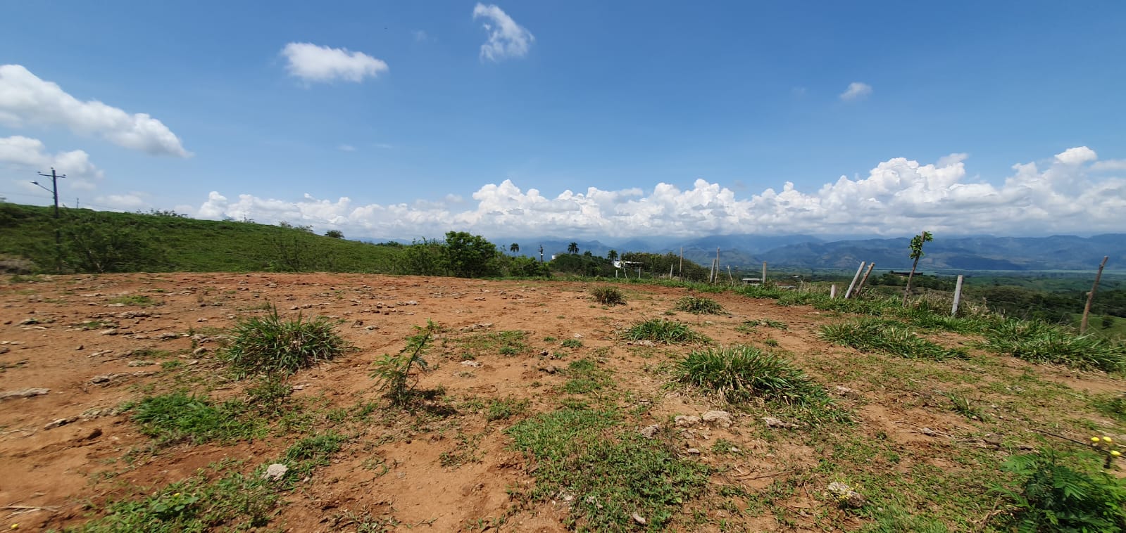 EN VENTA LOTE CERRITOS PEREIRA 13.500 M2