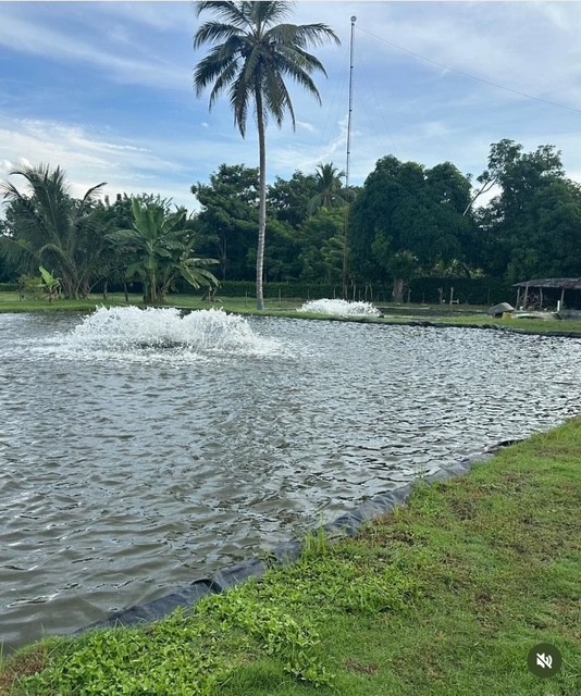 VENTA DE FINCA EN MONTERIA CORDOBA