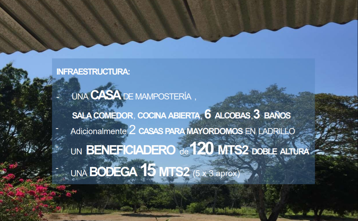 VENTA FINCA 263 HECT. EN VILLA NUEVA CASANARE