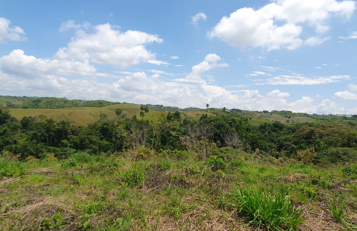 EN VENTA LOTE CERRITOS PEREIRA 11.027M2