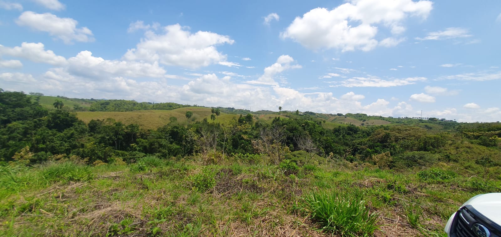 305071120250311061346 EN VENTA LOTE CERRITOS PEREIRA 11.027M2