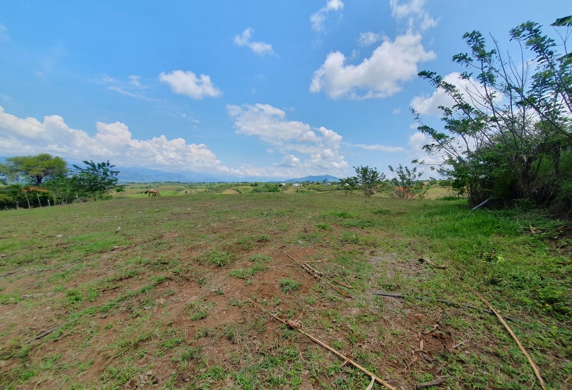 EN VENTA LOTE CERRITOS PEREIRA 13.000 M2