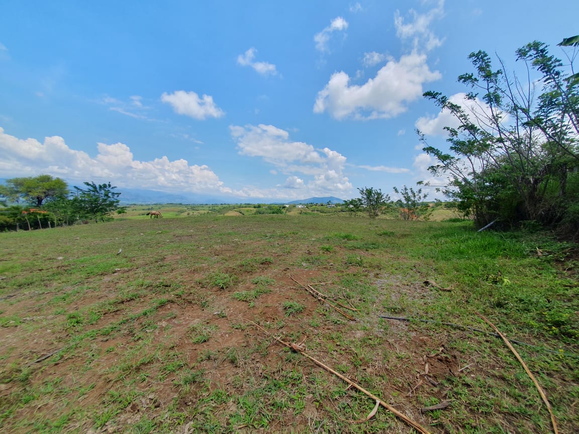 EN VENTA LOTE CERRITOS PEREIRA 13.000 M2