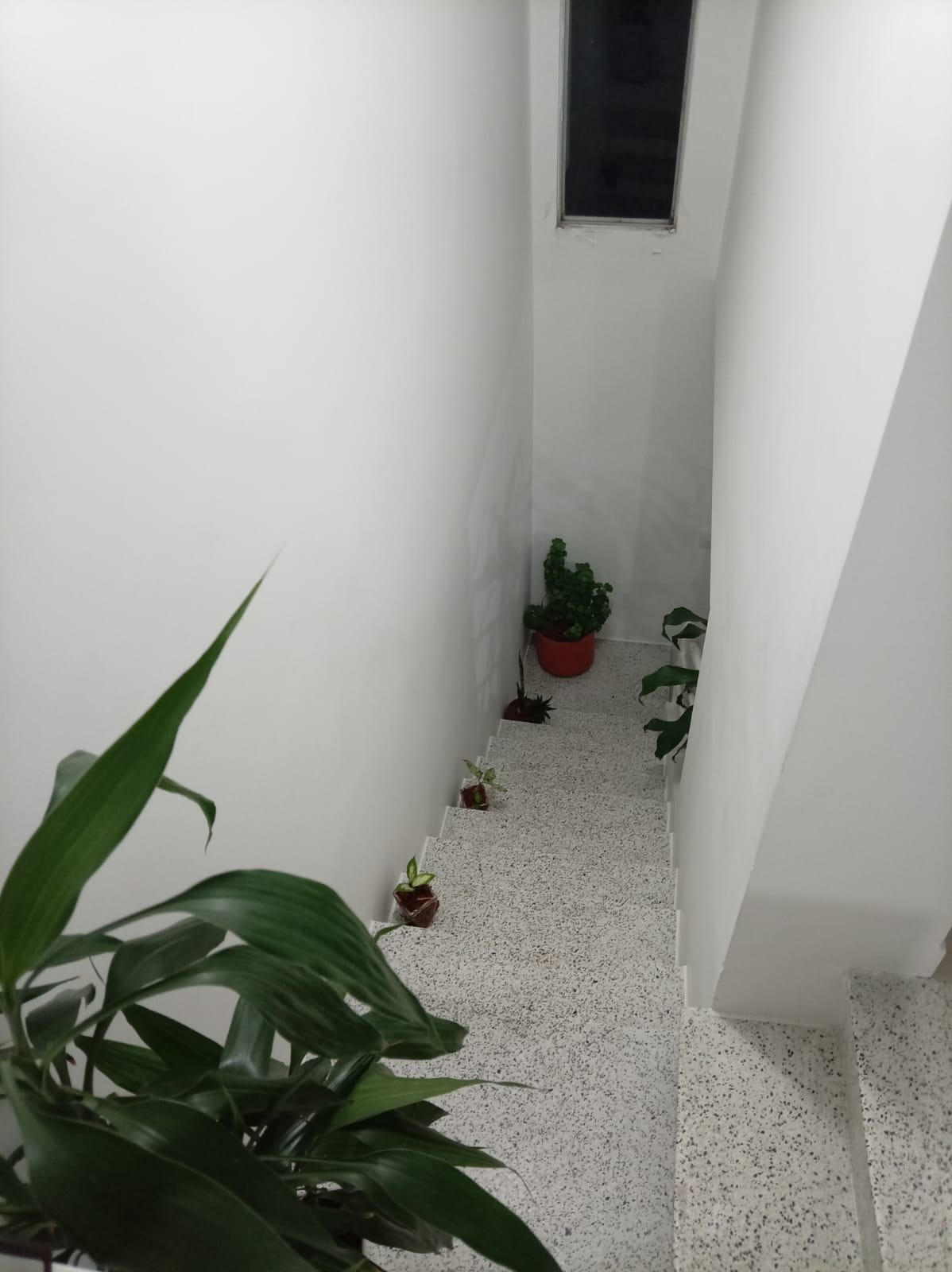 VENDO CASA DÚPLEX EN CONJUNTO CERRADO SECTOR MONTEBONITO DOSQUEBRADAS