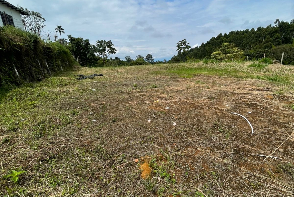 VENTA DE LOTE VÍA CONDINA