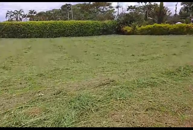 VENDO LOTE VIA CERRITOS LA VIRGINIA PEREIRA