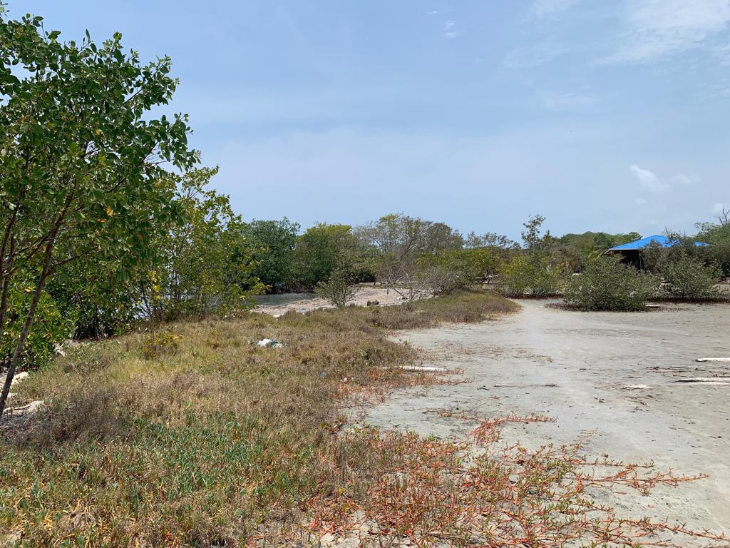 Vende lote Isla Boquerón San Bernardo del Viento