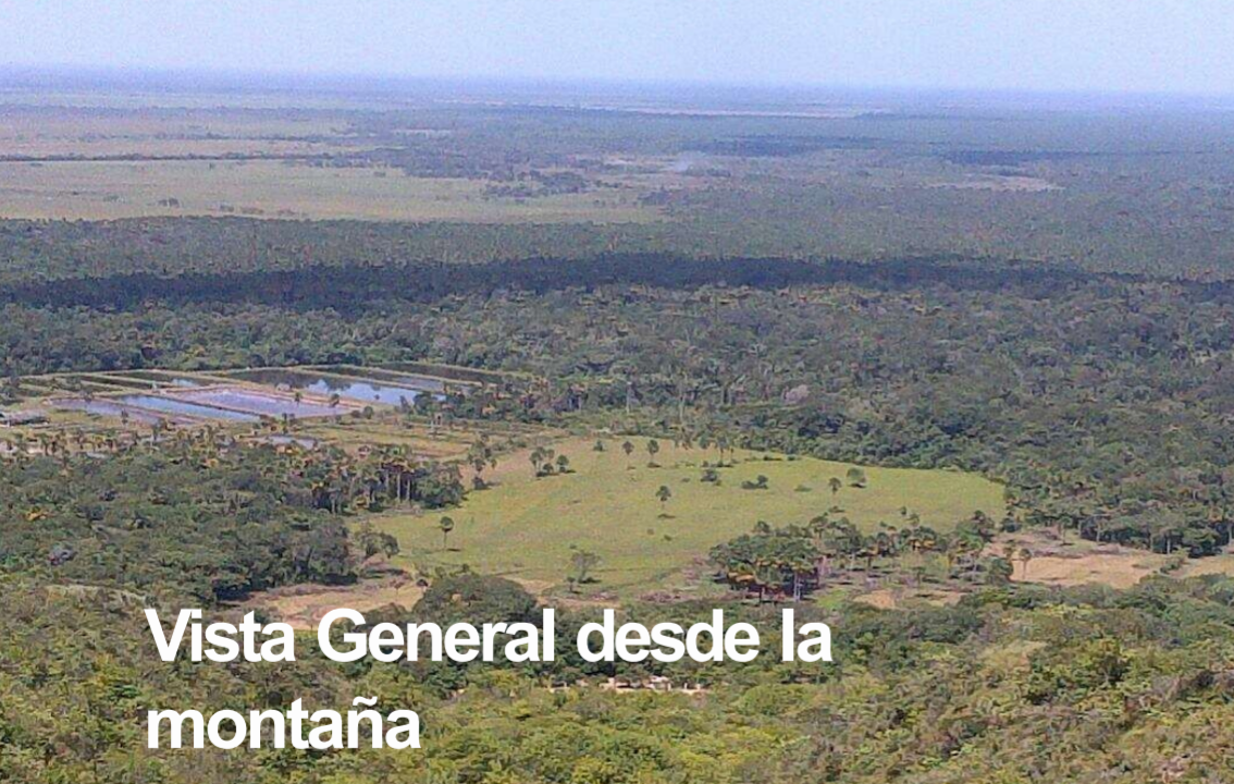 VENTA FINCA 263 HECT. EN VILLA NUEVA CASANARE