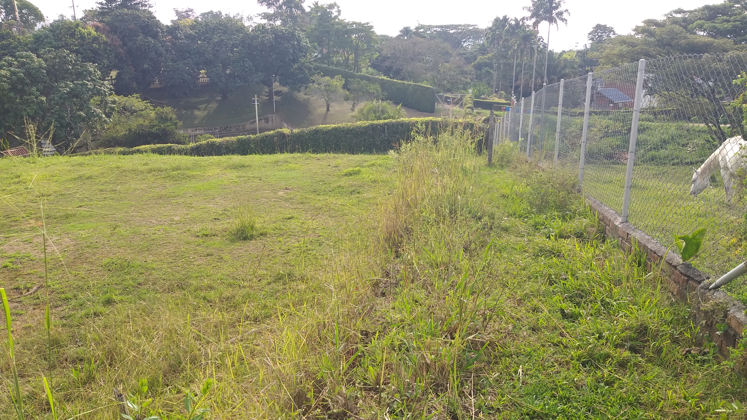 Lote Campestre Sector Cerritos
