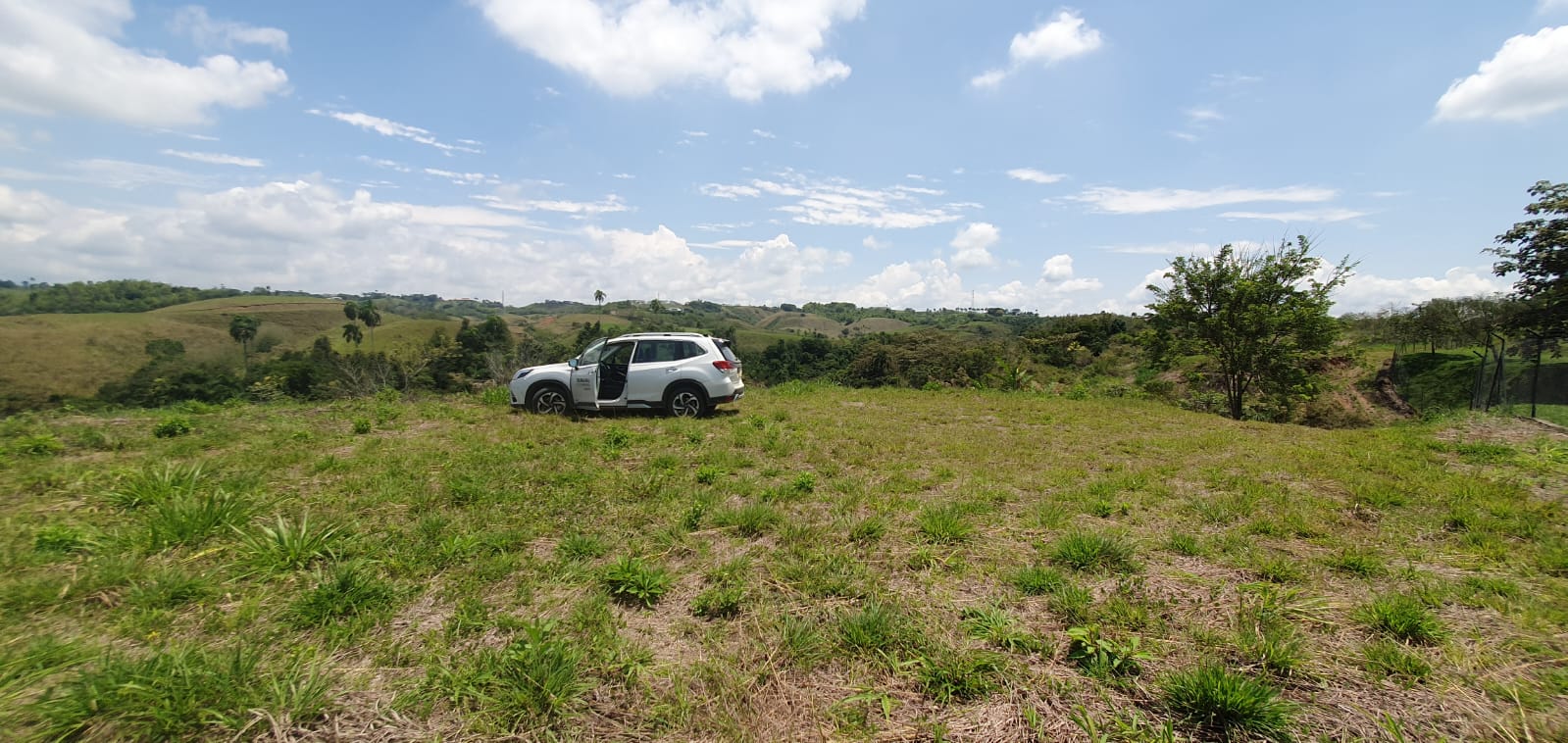 305071220250311061346 EN VENTA LOTE CERRITOS PEREIRA 11.027M2