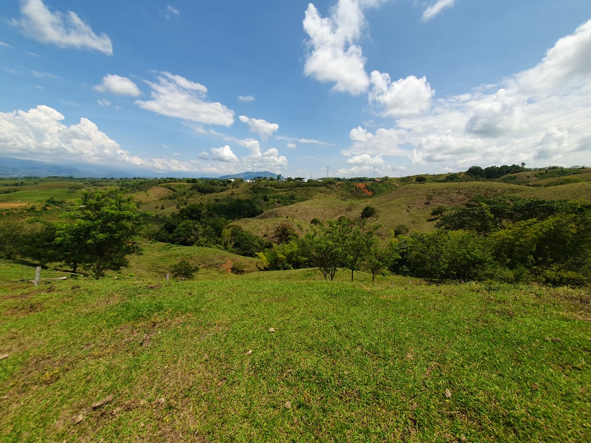 EN VENTA LOTE CERRITOS PEREIRA 13.000 M2