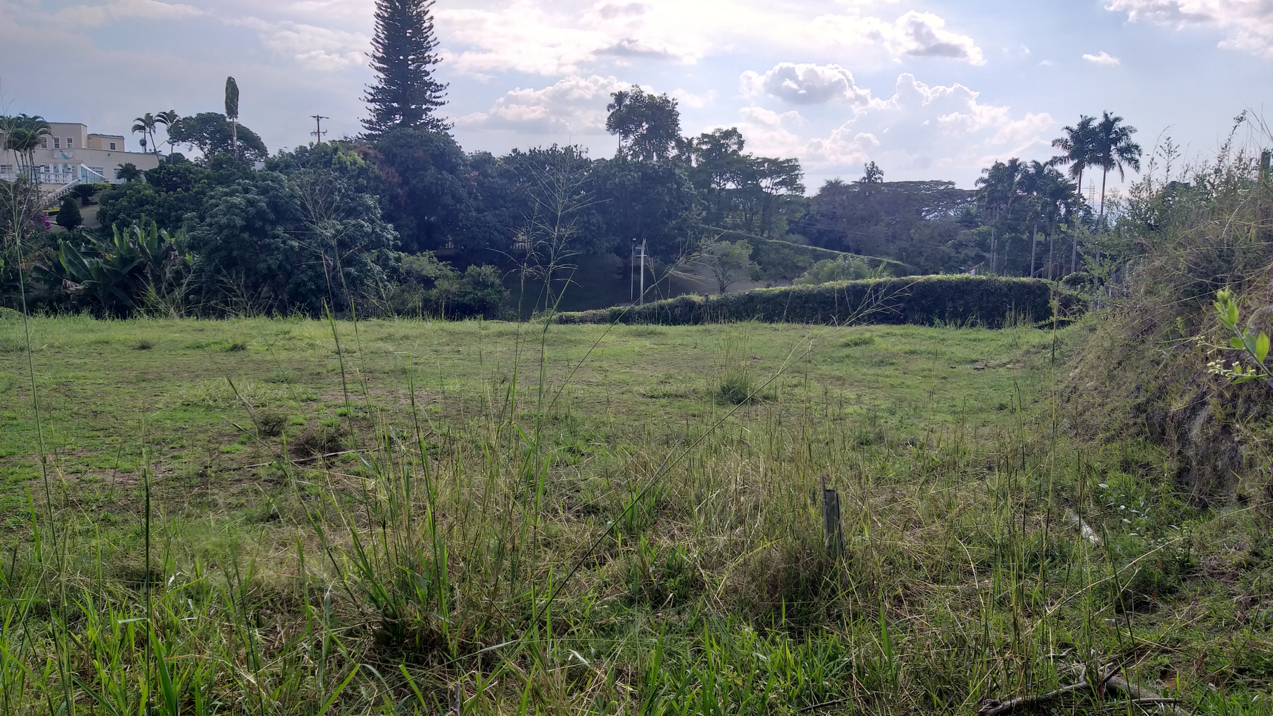 Lote Campestre Sector Cerritos