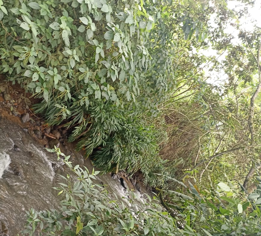 VENDO HERMOSA FINCA DE 10.000 M2 a 5 MIN DEL CRUCERO DE COMBIA
