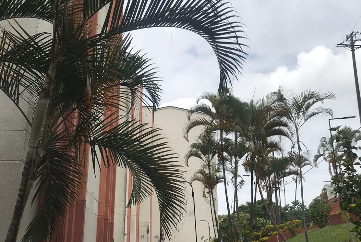 VENDO APARTAMENTO EN TORRES DE SAN MATEO