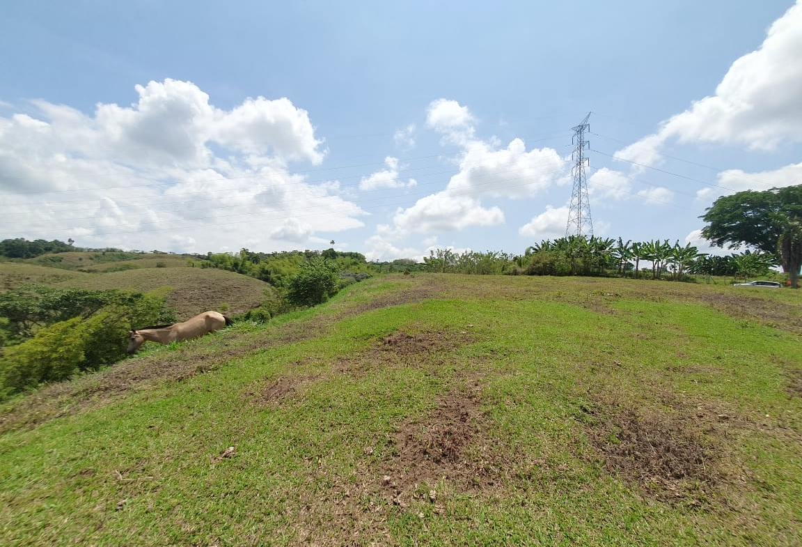 EN VENTA LOTE CERRITOS PEREIRA 13.000 M2