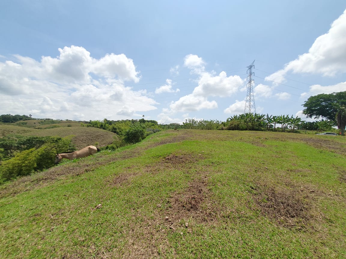 EN VENTA LOTE CERRITOS PEREIRA 13.000 M2