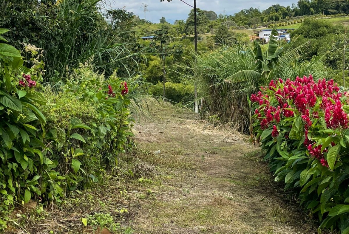 VENTA DE LOTE VÍA CONDINA