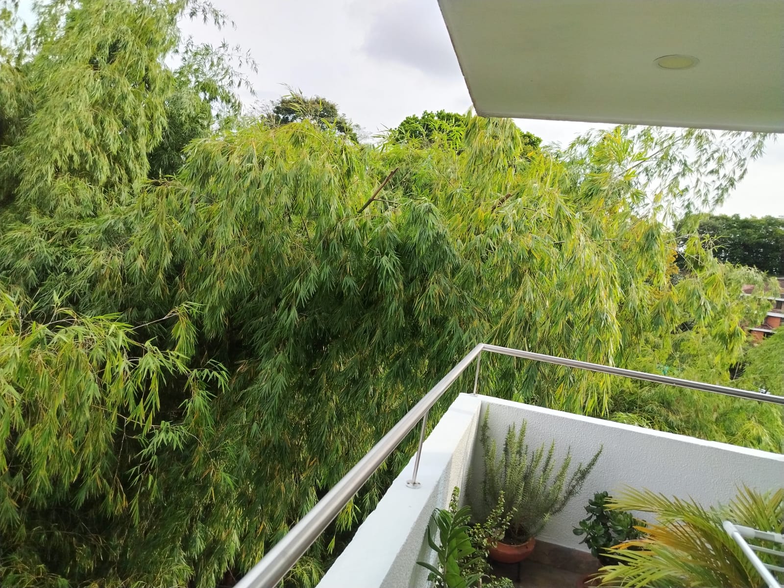 VENDO APARTAMENTO EN MARAYA PEREIRA