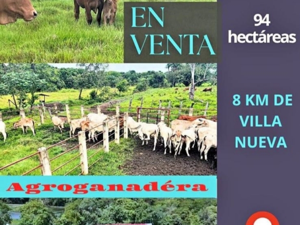 FINCA AGRO-GANADERA OPORTUNIDAD ÚNICA EN VILLANUEVA, CASANARE