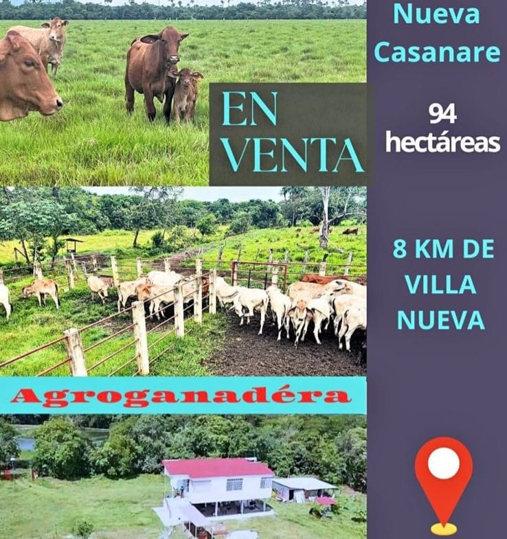 FINCA AGRO-GANADERA OPORTUNIDAD ÚNICA EN VILLANUEVA, CASANARE