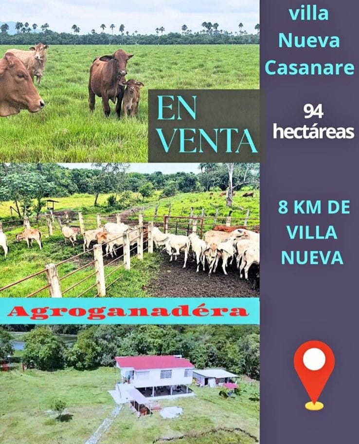 305071320260301041825-2 FINCA AGRO-GANADERA OPORTUNIDAD ÚNICA EN VILLANUEVA, CASANARE