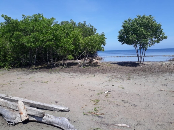Vende lote Isla Boquerón San Bernardo del Viento