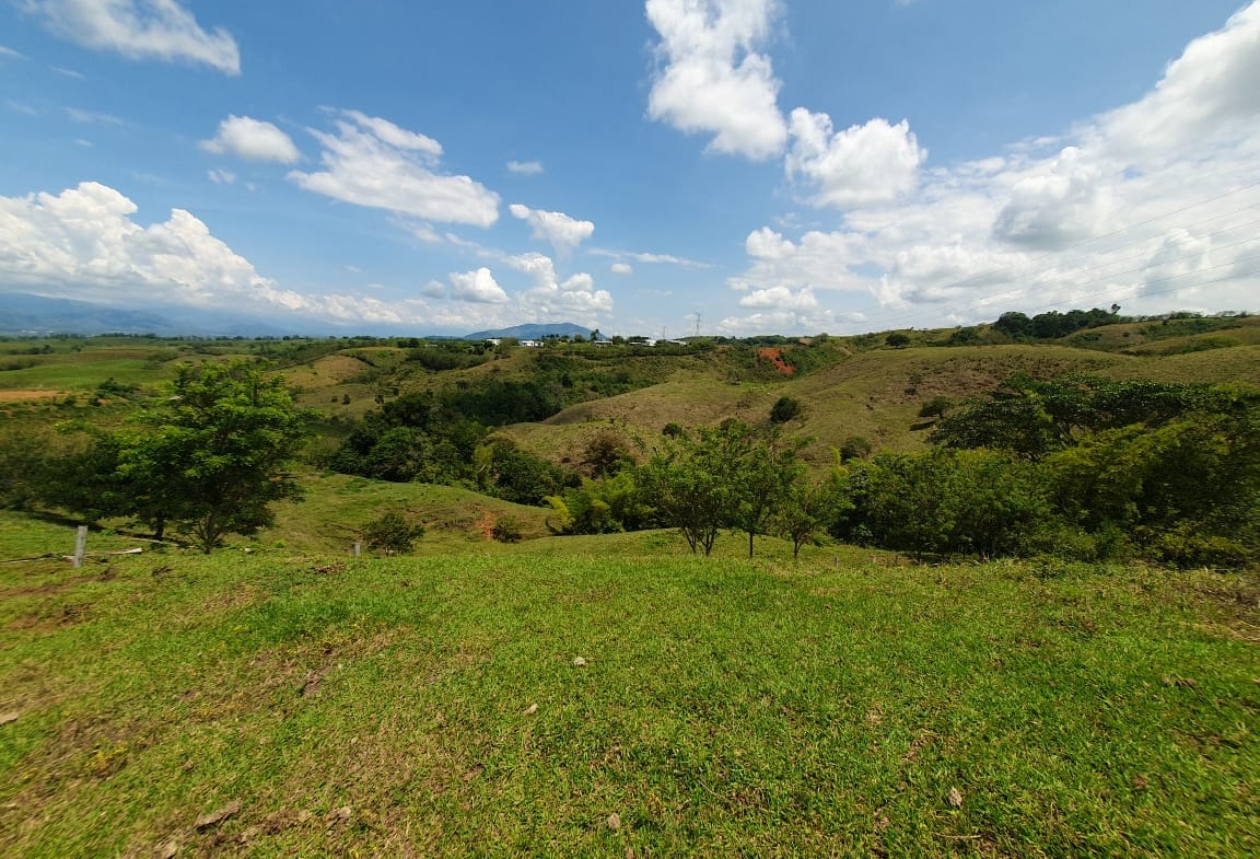 EN VENTA LOTE CERRITOS PEREIRA 13.000 M2