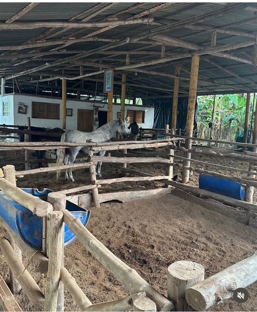 VENTA DE FINCA EN MONTERIA CORDOBA