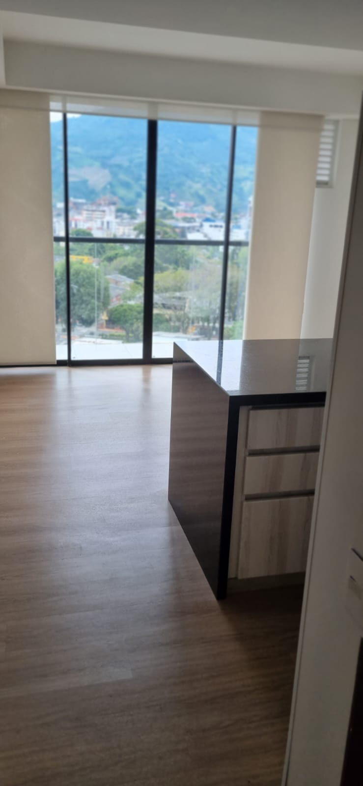 VENDO APARTAMENTO UBICACIÓN ESTRATÉGICA AVENIDA SUR EN PEREIRA