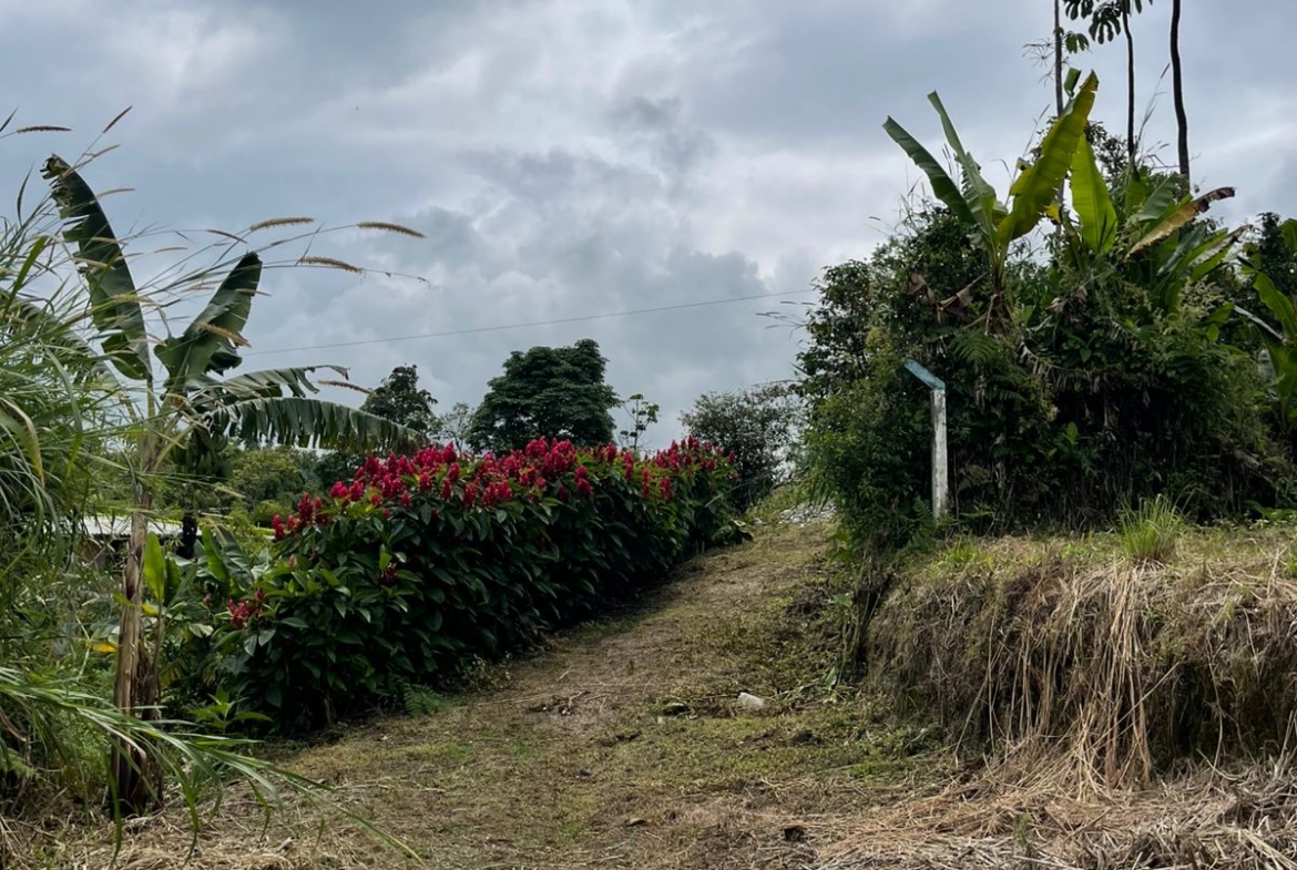 VENTA DE LOTE VÍA CONDINA