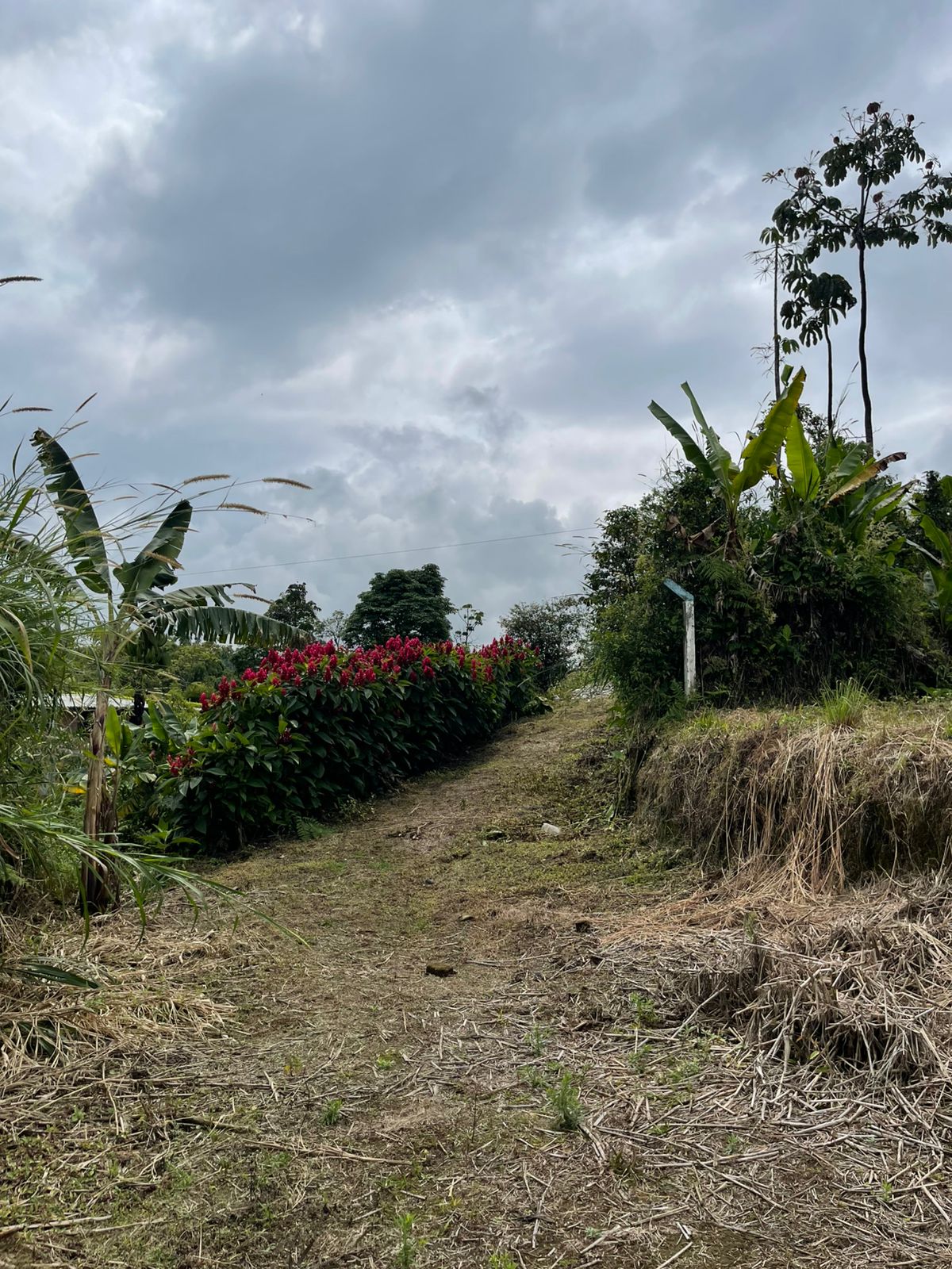 VENTA DE LOTE VÍA CONDINA
