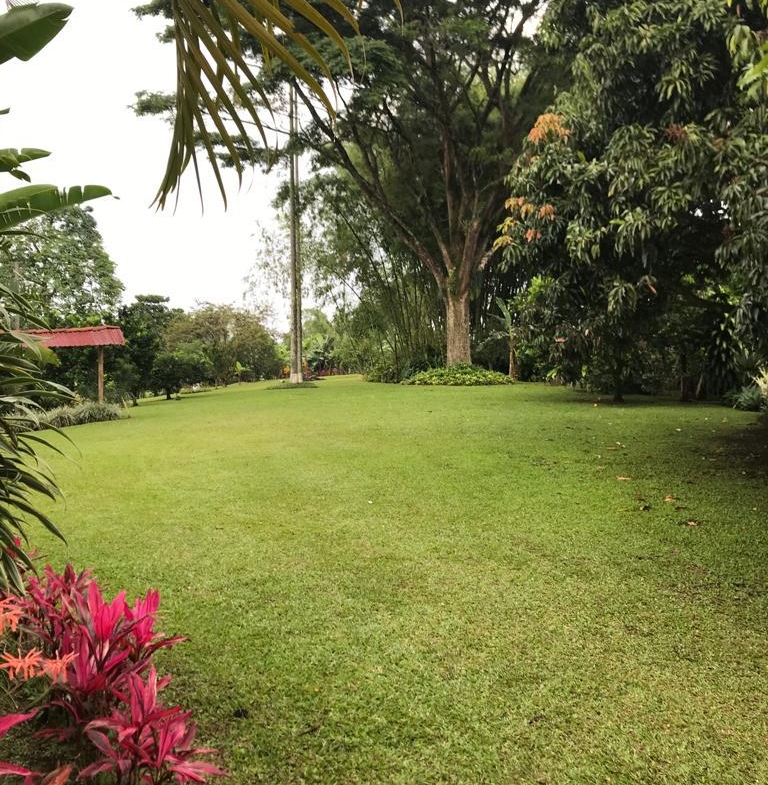 ALQUILER DE FINCA VEREDA EL CONGOLO VIA CONDINA PEREIRA