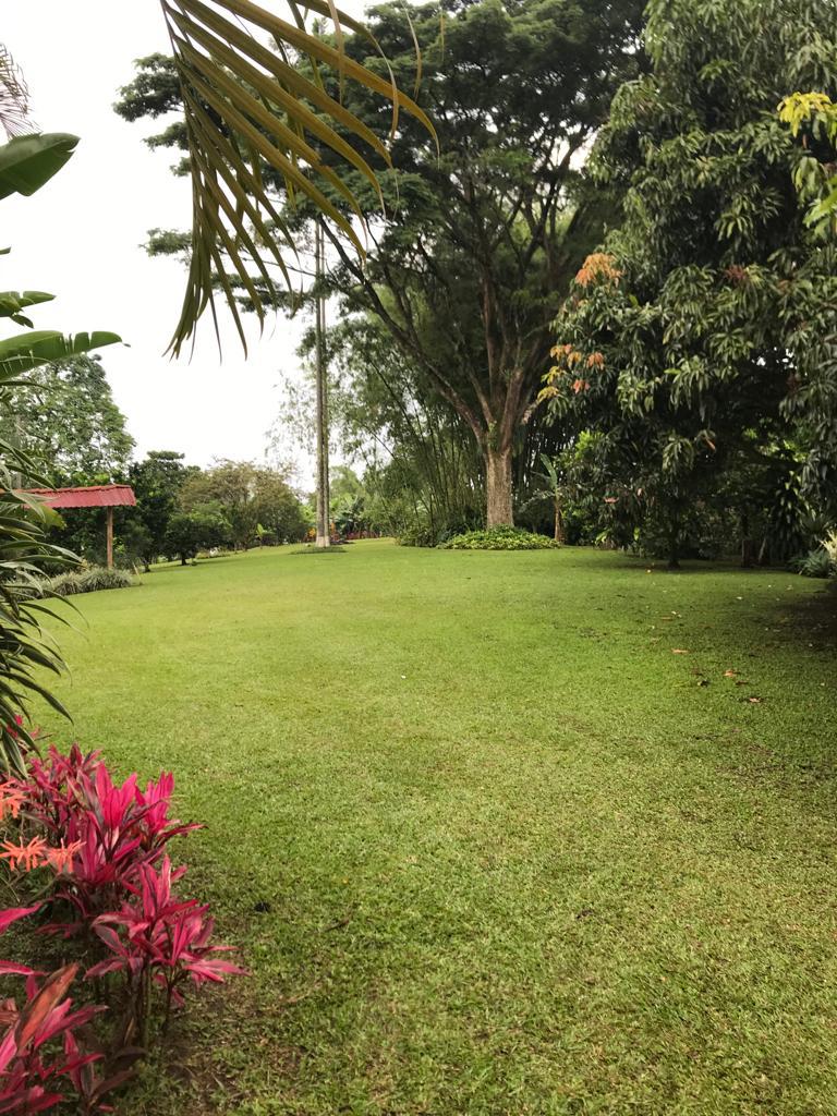 ALQUILER DE FINCA VEREDA EL CONGOLO VIA CONDINA PEREIRA