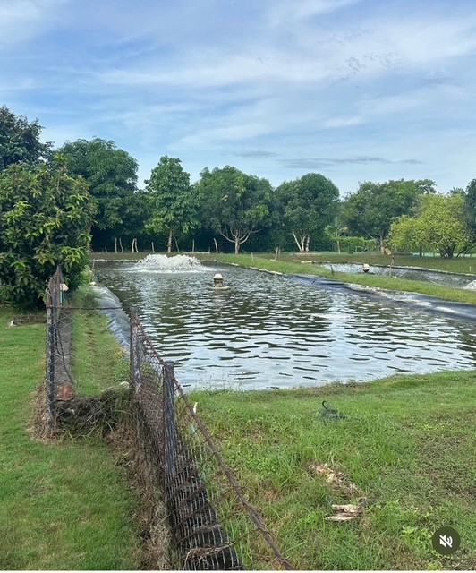 VENTA DE FINCA EN MONTERIA CORDOBA