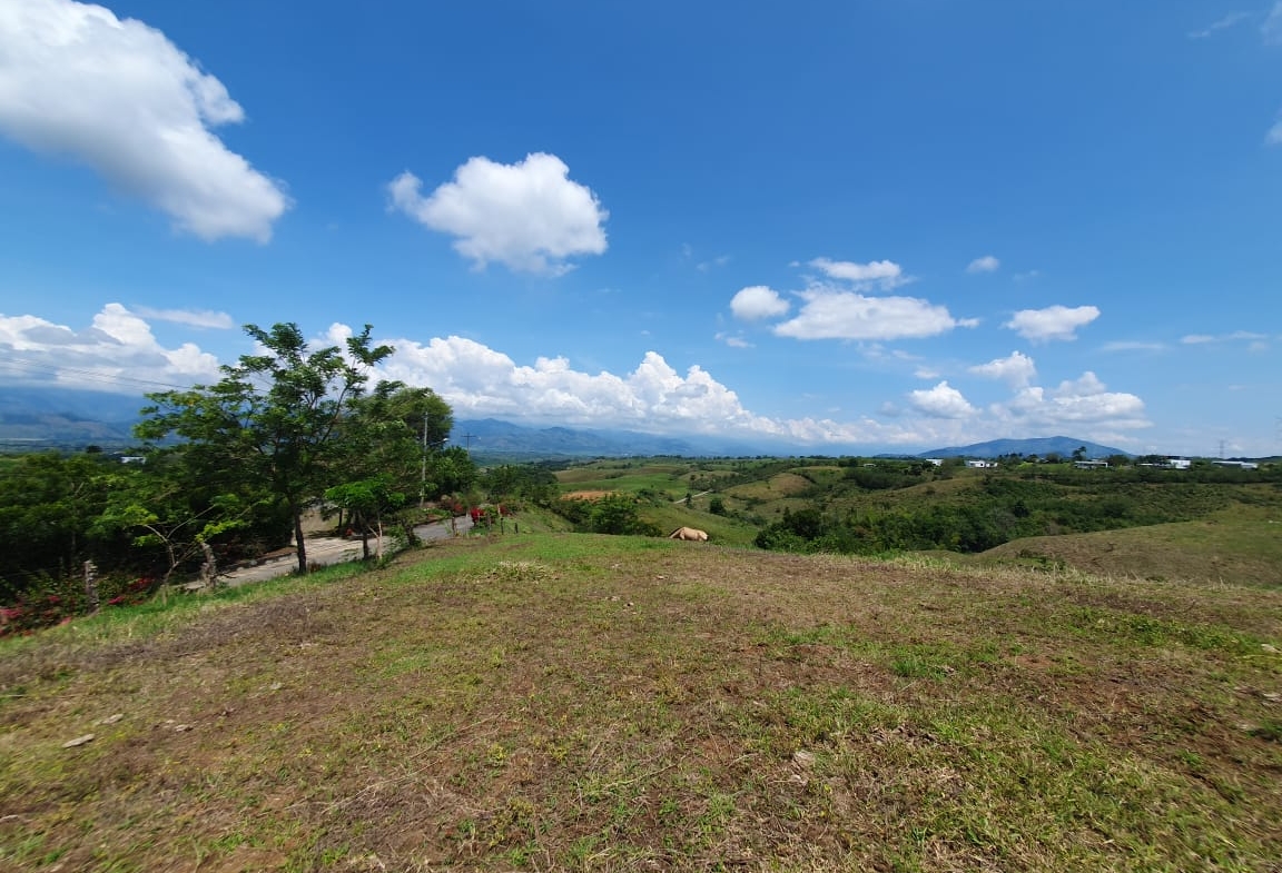 EN VENTA LOTE CERRITOS PEREIRA 13.000 M2