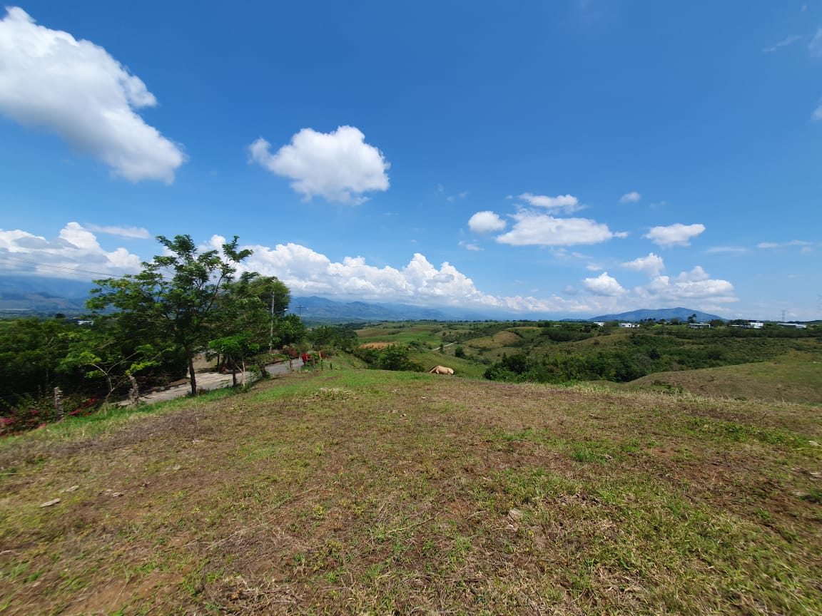 EN VENTA LOTE CERRITOS PEREIRA 13.000 M2