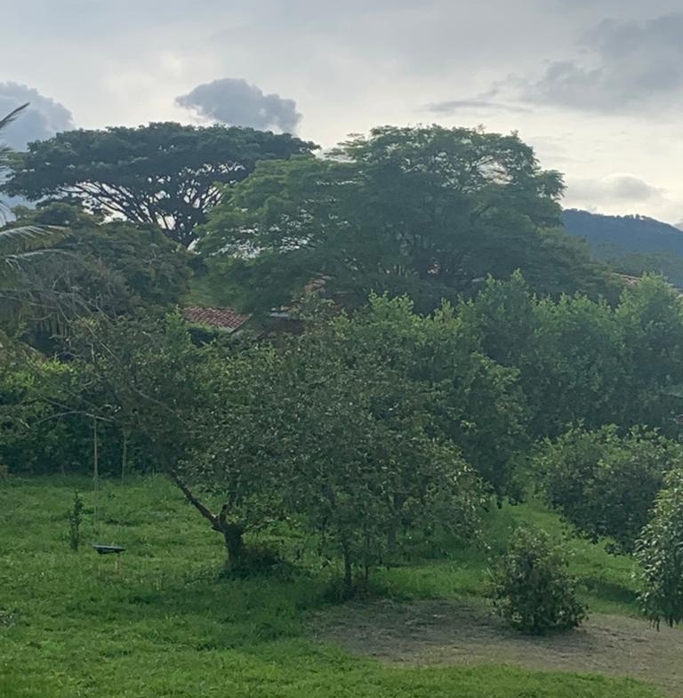 VENTA CASA CAMPESTRE EN VITERBO