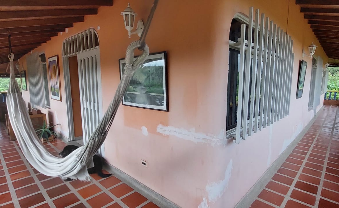 VENDO FINCA EN EL SECTOR DE MORELIA