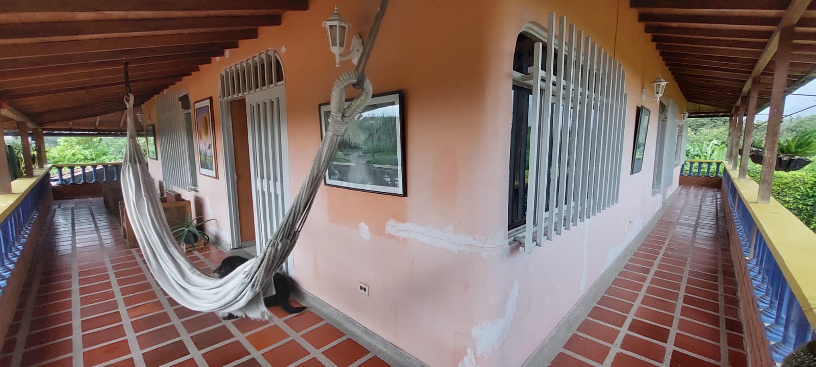 VENDO FINCA EN EL SECTOR DE MORELIA