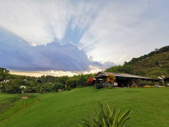 VENDO HERMOSA FINCA DE 10.000 M2 a 5 MIN DEL CRUCERO DE COMBIA