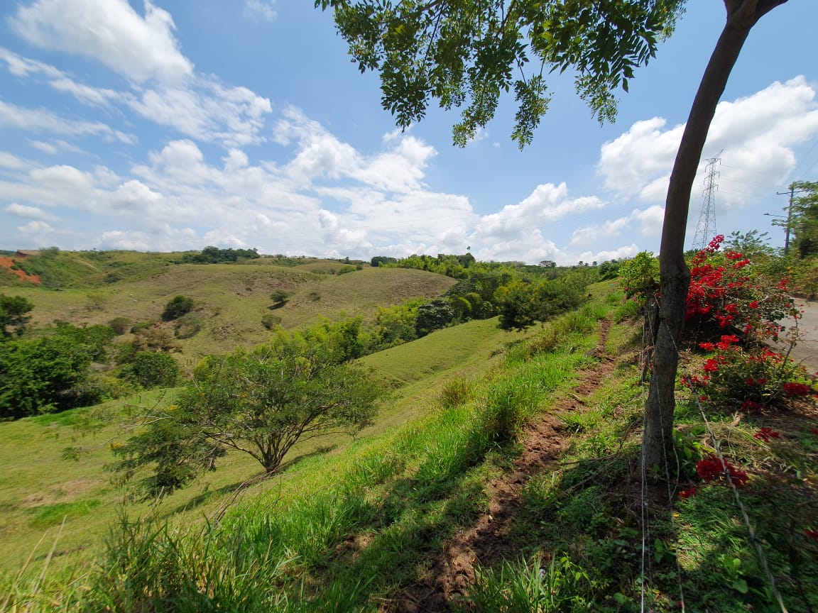 EN VENTA LOTE CERRITOS PEREIRA 13.000 M2