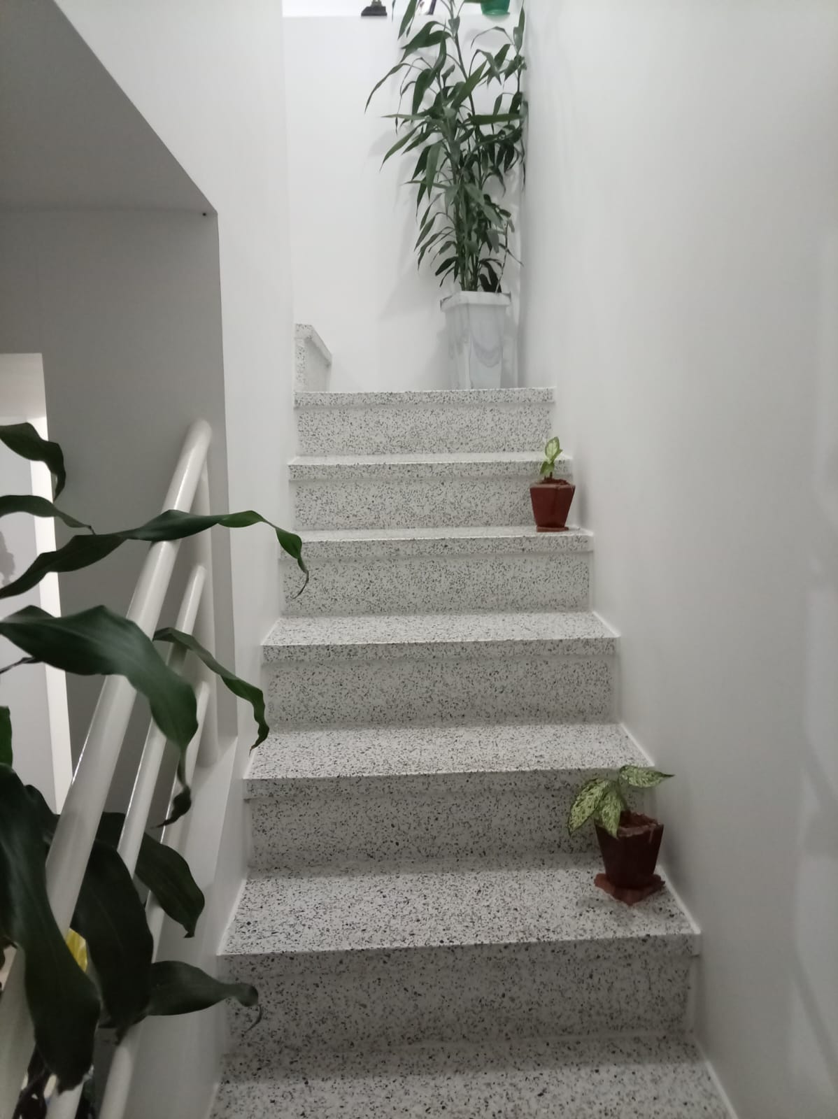 VENDO CASA DÚPLEX EN CONJUNTO CERRADO SECTOR MONTEBONITO DOSQUEBRADAS