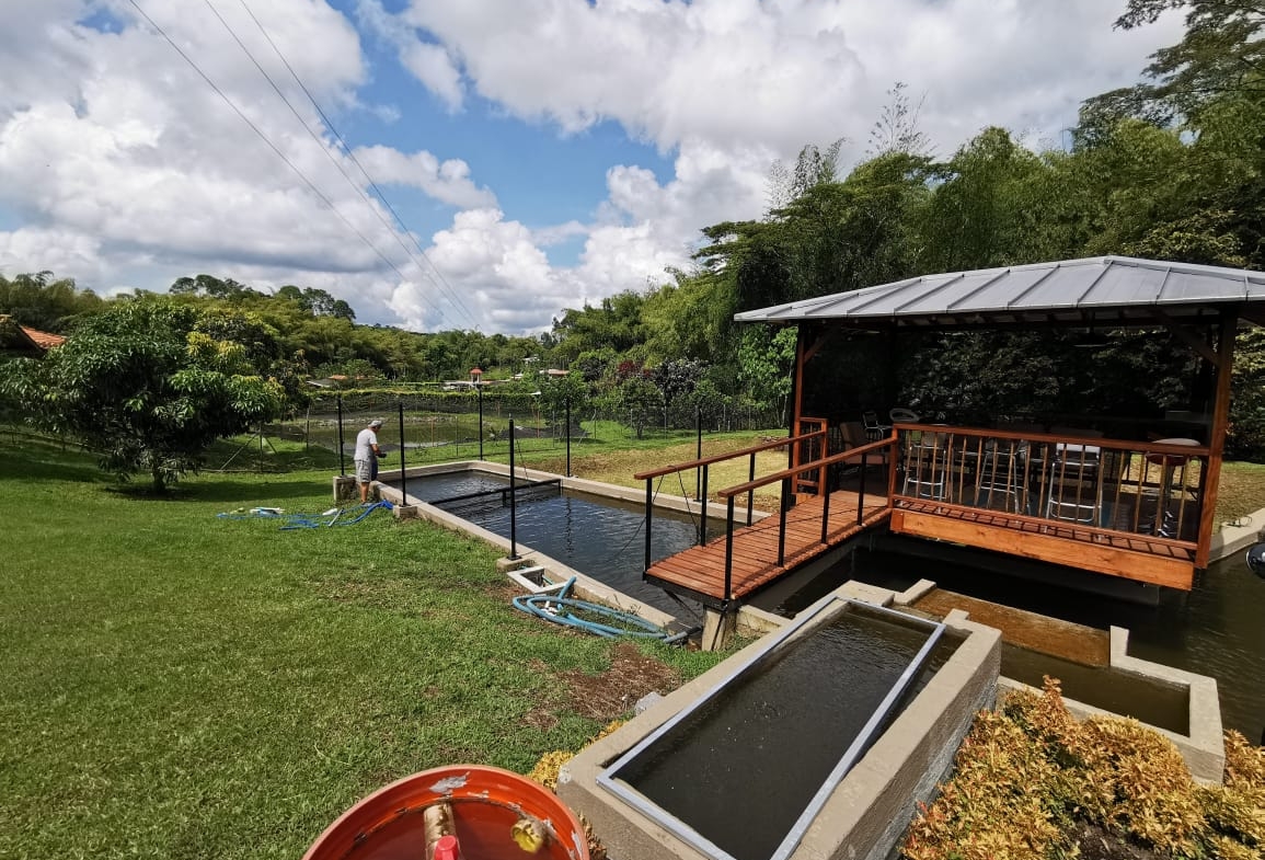 VENDO HERMOSA FINCA DE 10.000 M2 a 5 MIN DEL CRUCERO DE COMBIA